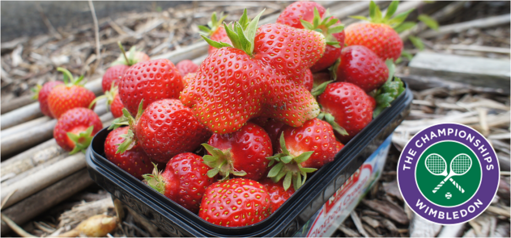 Wimbledon strawberries